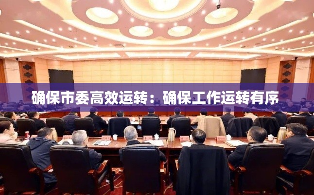 确保市委高效运转：确保工作运转有序 
