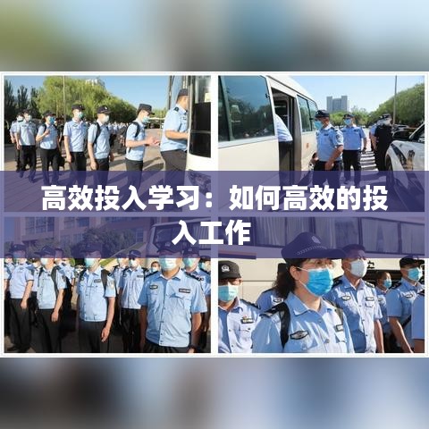 高效投入学习：如何高效的投入工作 