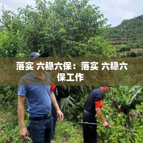 落实 六稳六保：落实 六稳六保工作 