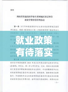 就业政策有待落实：落实就业政策说明报告 