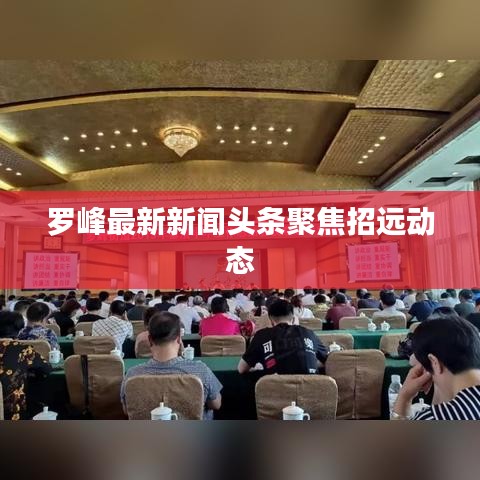 罗峰最新新闻头条聚焦招远动态