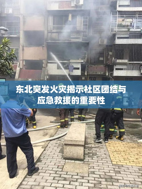 飞扬拨扈 第2页