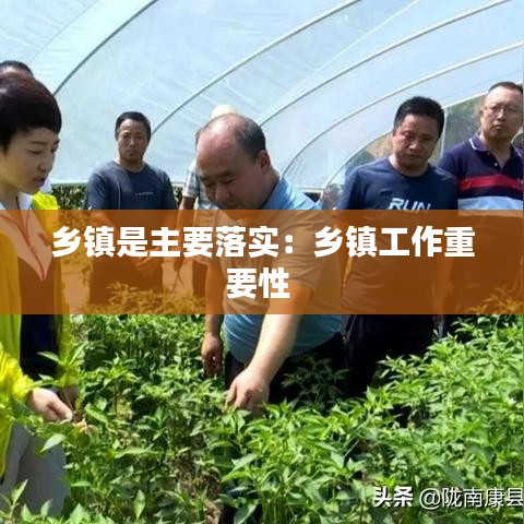 乡镇是主要落实：乡镇工作重要性 