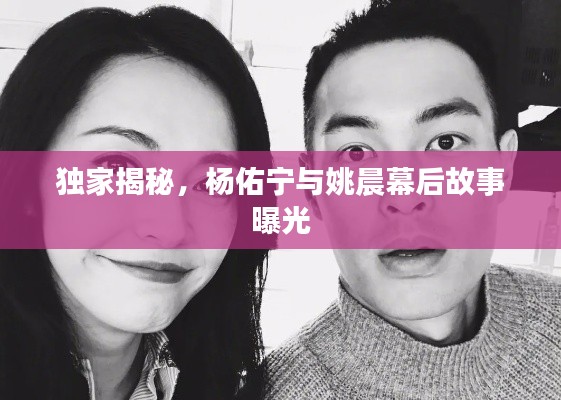 独家揭秘，杨佑宁与姚晨幕后故事曝光