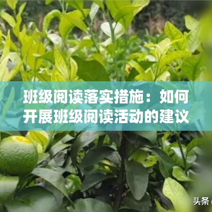 班级阅读落实措施：如何开展班级阅读活动的建议 