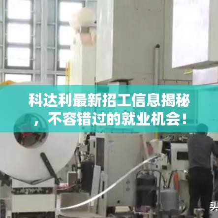 科达利最新招工信息揭秘，不容错过的就业机会！