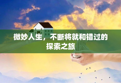 微妙人生，不断将就和错过的探索之旅