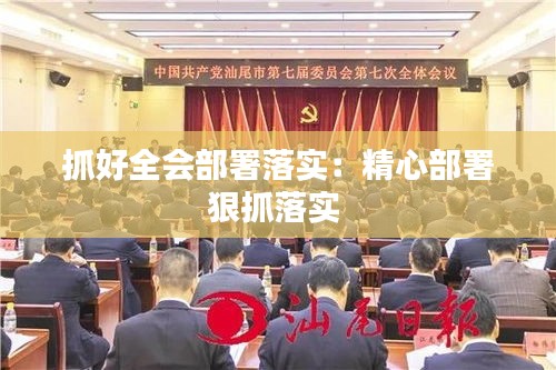 抓好全会部署落实：精心部署狠抓落实 