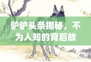 驴驴头条揭秘，不为人知的背后故事，深度报道新闻真相