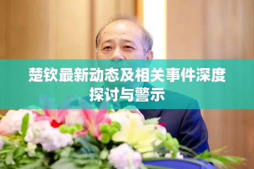 楚钦最新动态及相关事件深度探讨与警示