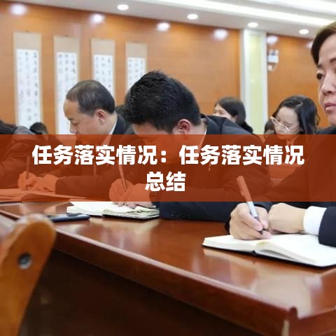 任务落实情况：任务落实情况总结 