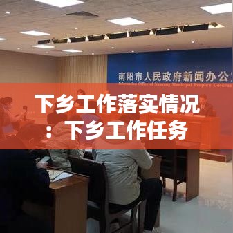 下乡工作落实情况：下乡工作任务 