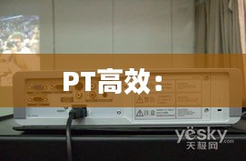 PT高效： 