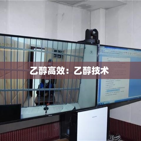 乙醇高效：乙醇技术 