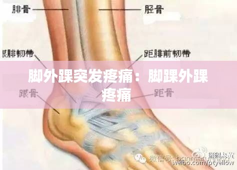 脚外踝突发疼痛：脚踝外踝疼痛 