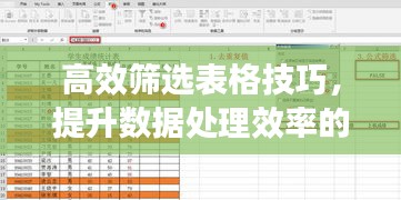 高效筛选表格技巧，提升数据处理效率的核心技能