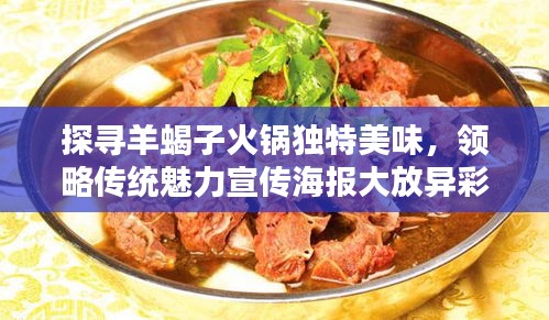 探寻羊蝎子火锅独特美味，领略传统魅力宣传海报大放异彩！