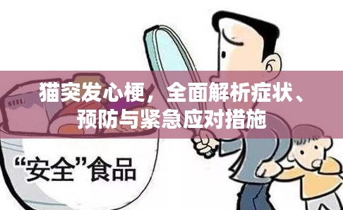 猫突发心梗，全面解析症状、预防与紧急应对措施