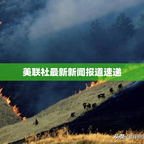 美联社最新新闻报道速递