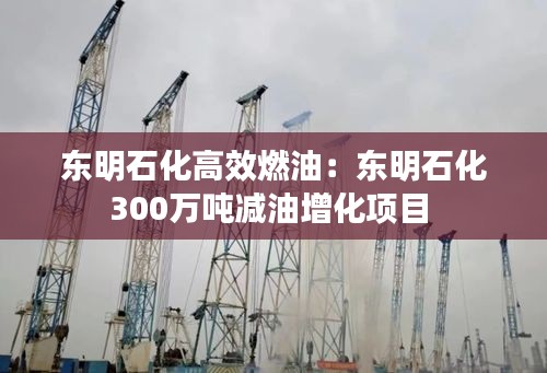 东明石化高效燃油：东明石化300万吨减油增化项目 