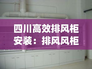 四川高效排风柜安装：排风风柜图片 