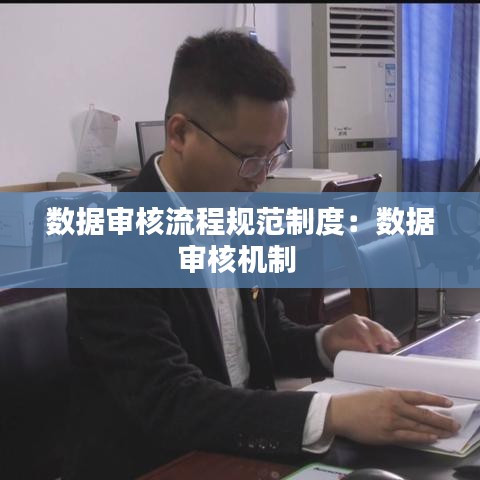 数据审核流程规范制度：数据审核机制 