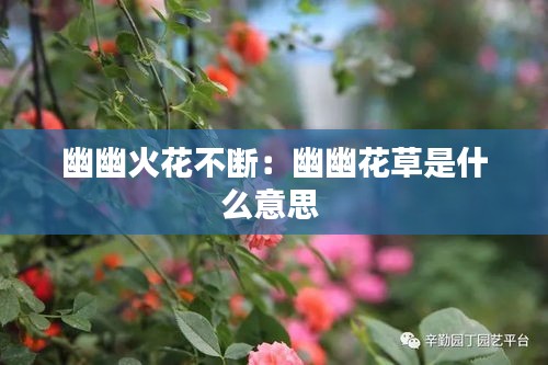 幽幽火花不断：幽幽花草是什么意思 