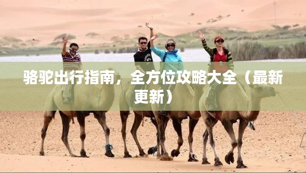 骆驼出行指南，全方位攻略大全（最新更新）