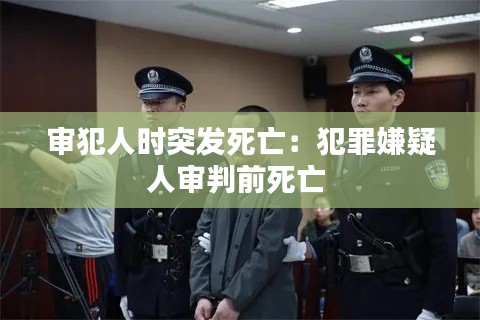 投诉说明 第141页