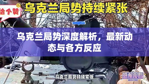 乌克兰局势深度解析，最新动态与各方反应