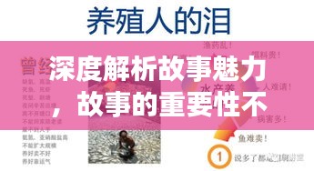深度解析故事魅力，故事的重要性不容小觑