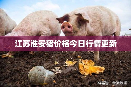 江苏淮安猪价格今日行情更新
