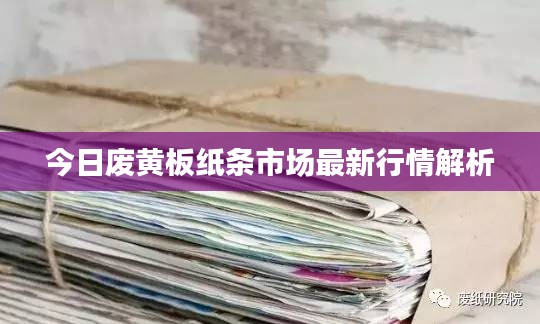 今日废黄板纸条市场最新行情解析