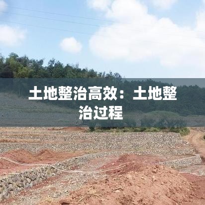 土地整治高效：土地整治过程 