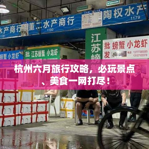 披沙拣金 第2页