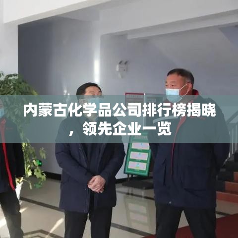 内蒙古化学品公司排行榜揭晓，领先企业一览