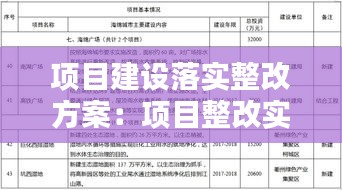 项目建设落实整改方案：项目整改实施方案 