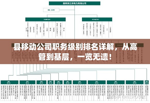 县移动公司职务级别排名详解，从高管到基层，一览无遗！