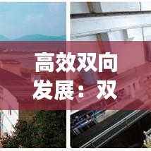 高效双向发展：双向发展理论 
