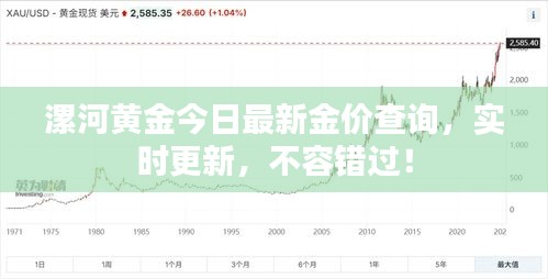 漯河黄金今日最新金价查询，实时更新，不容错过！