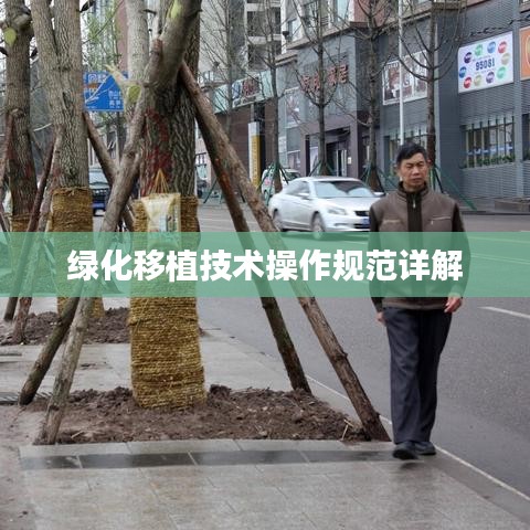 绿化移植技术操作规范详解