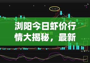 浏阳今日虾价行情大揭秘，最新走势分析！
