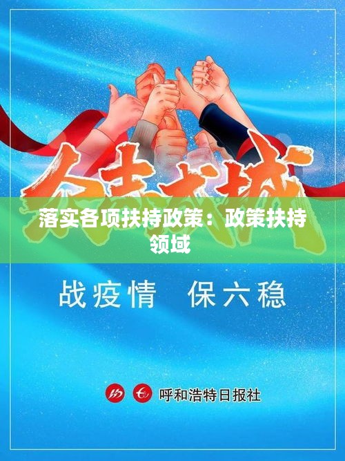 落实各项扶持政策：政策扶持领域 