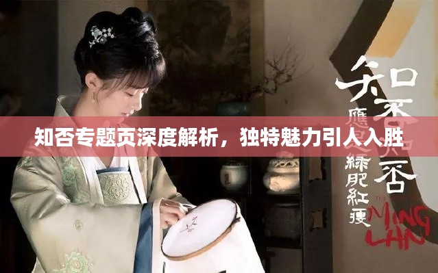 知否专题页深度解析，独特魅力引人入胜