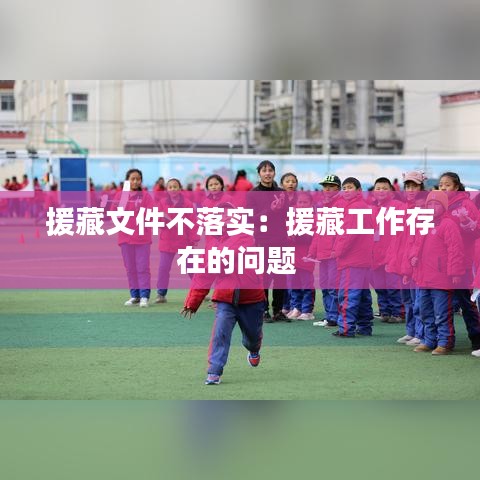 援藏文件不落实：援藏工作存在的问题 