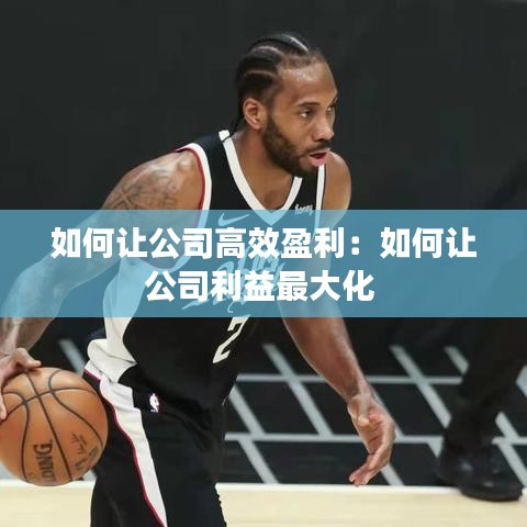 如何让公司高效盈利：如何让公司利益最大化 