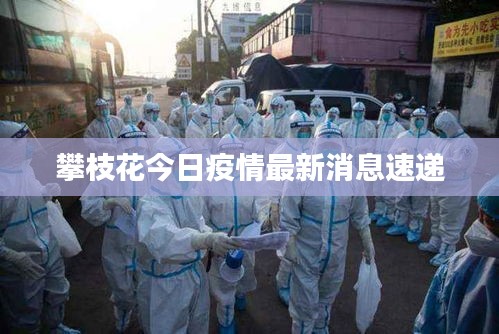 炙手可热 第2页