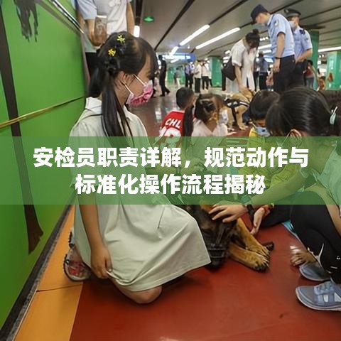 安检员职责详解，规范动作与标准化操作流程揭秘