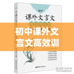 初中课外文言文高效训练：初中课外文言文阅读训练有哪些好的资料 