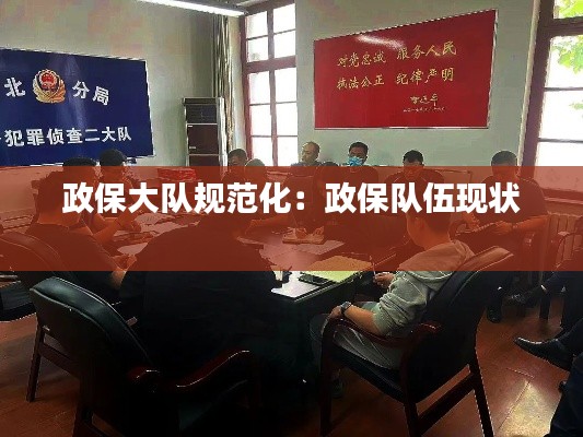 政保大队规范化：政保队伍现状 